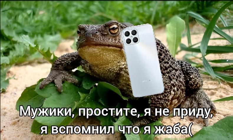 У всех нас в душе жаба