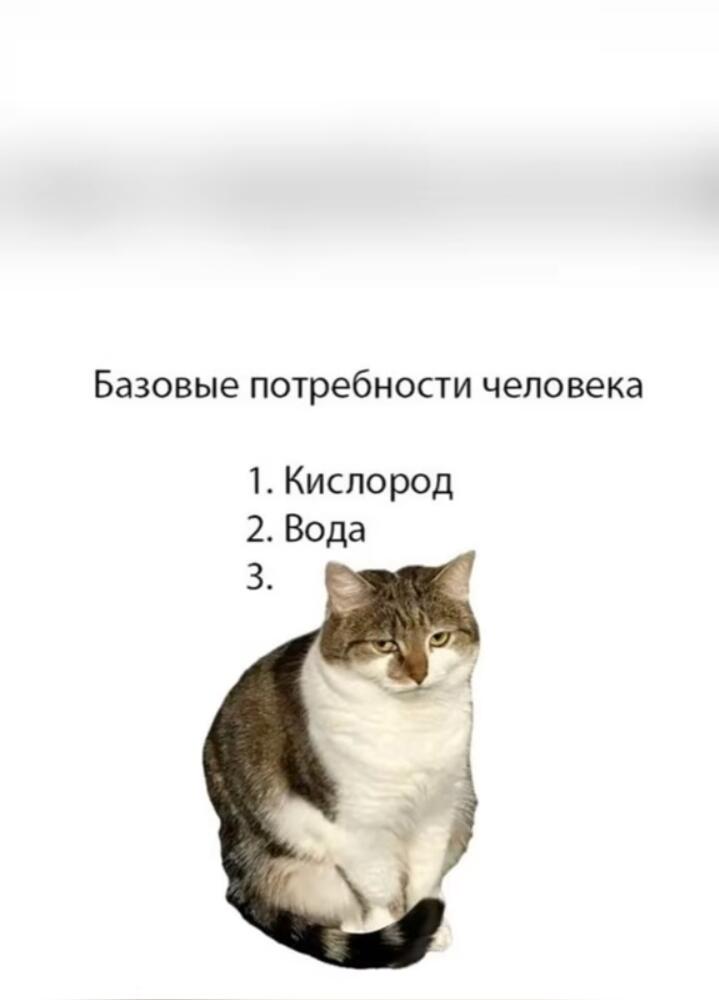 Базовые потребности человека