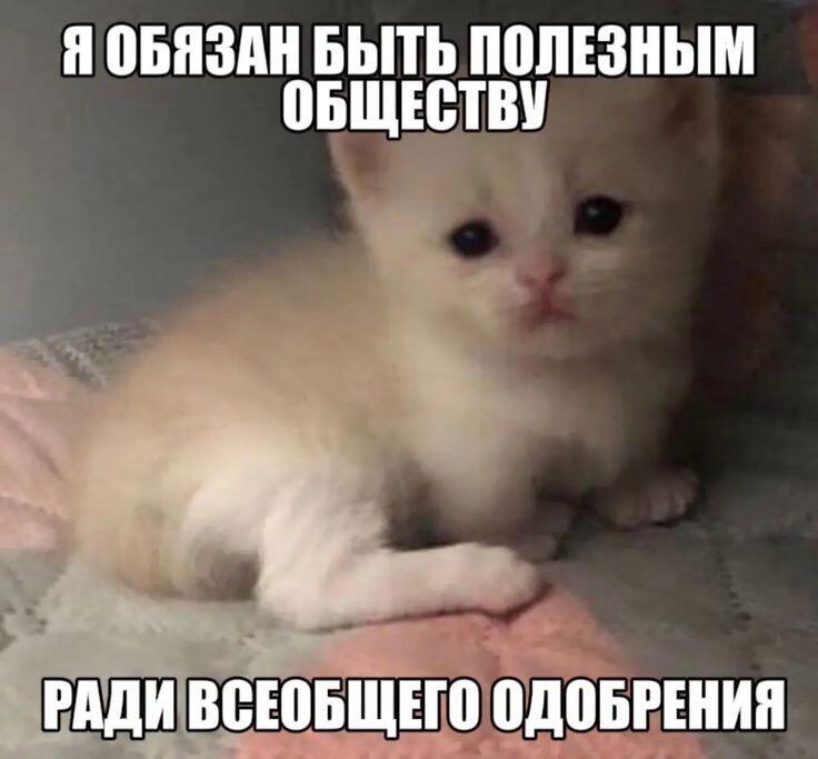 Мем без подписи