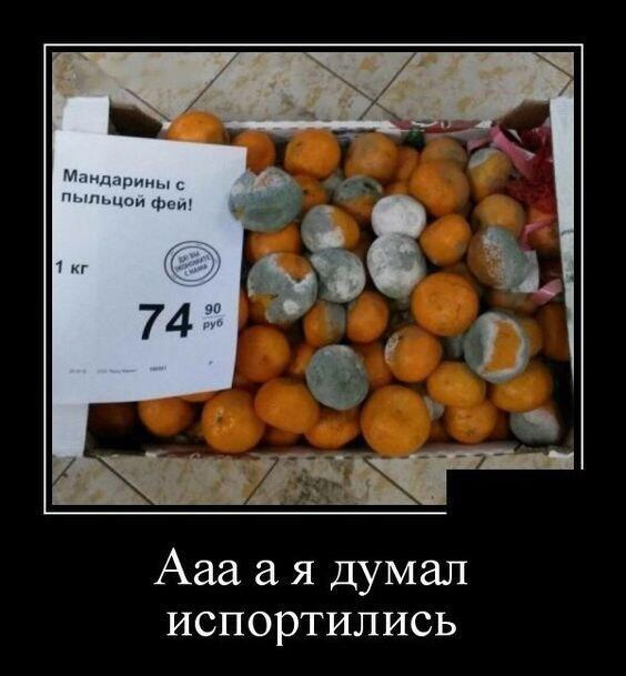 Мем от КоТеЙкА (где то спит)