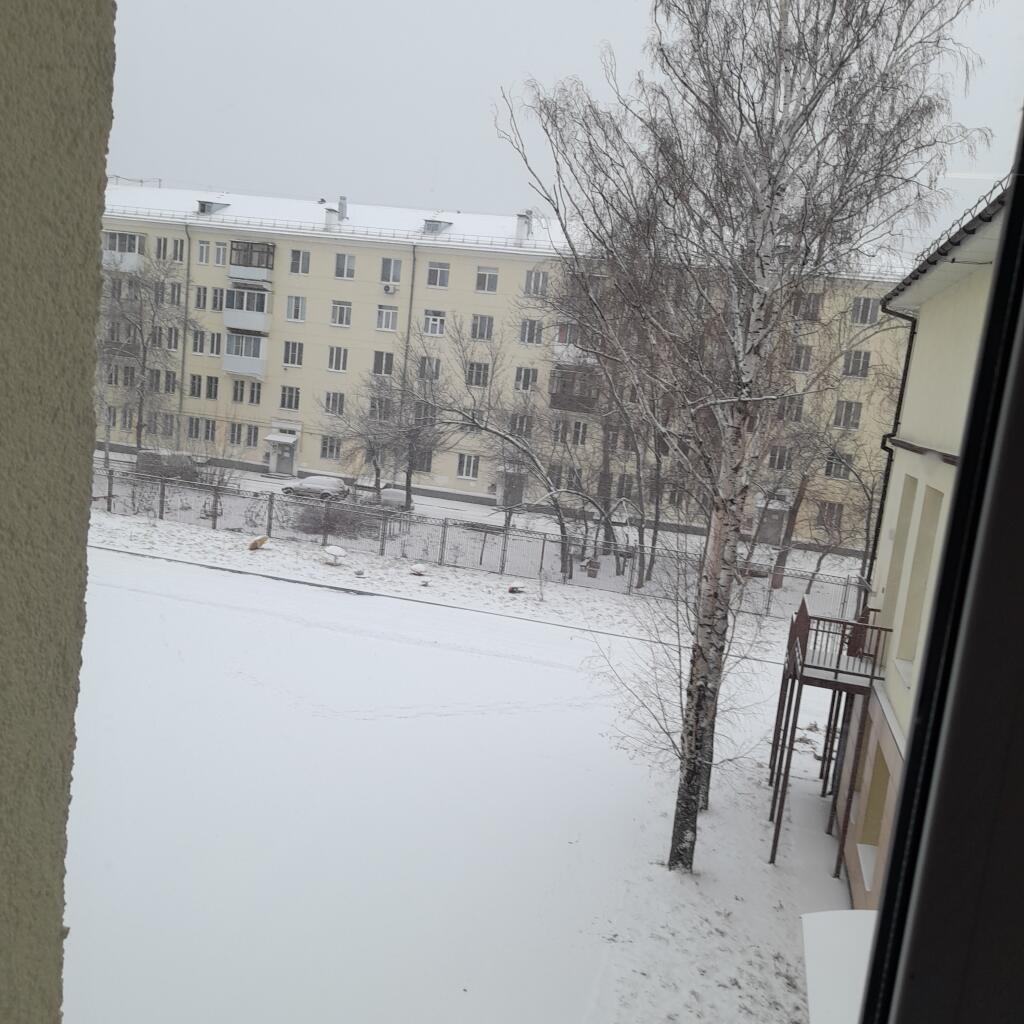 В екб снег выпал