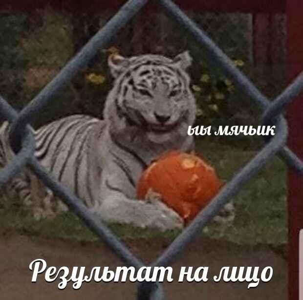 Запускаю новую рубрику "Рандомные факты обо мне"
Рандомные факты обо мне.
Факт номер 1.
Я живу в городе Новокузнецк, Кем