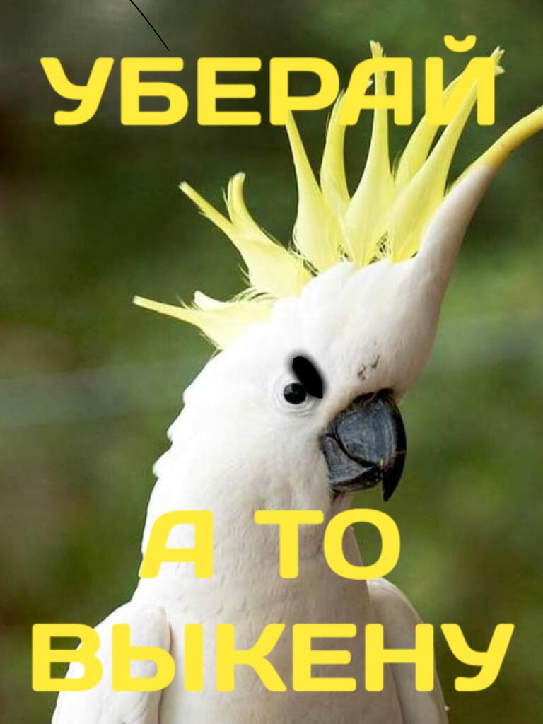 Выходные: наступают
Мама в 6 утра: