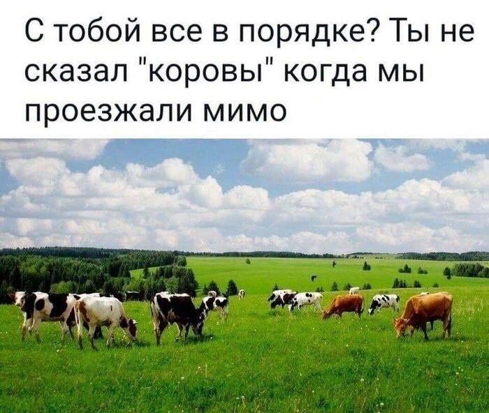 Надо его к врачу, провериться