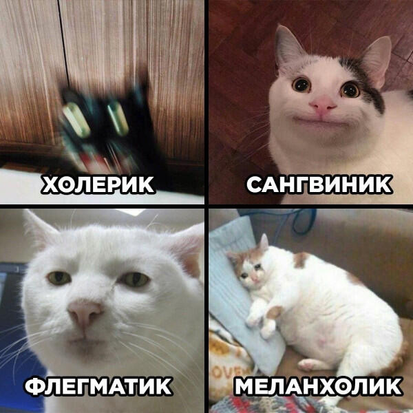 Мем от Semen.And24