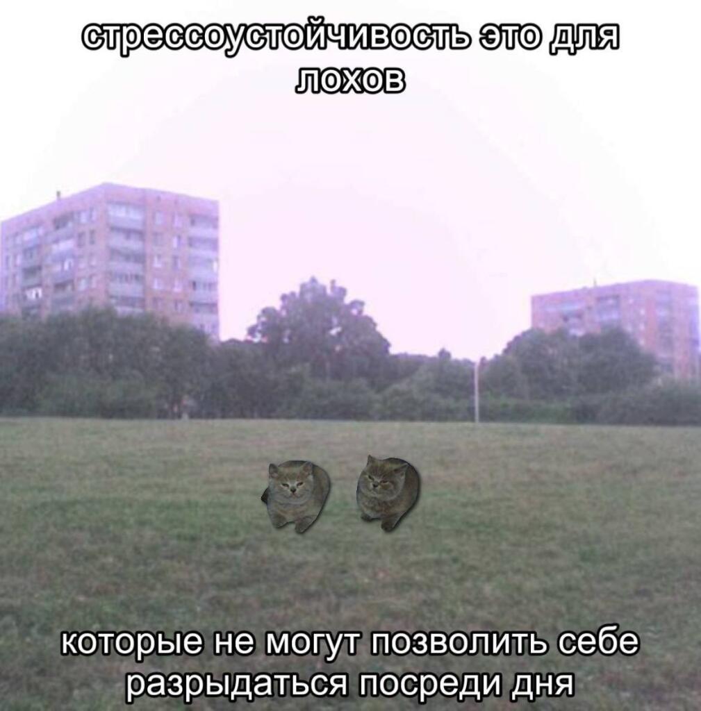 Ну я!