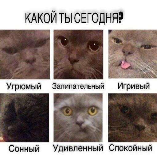 ?