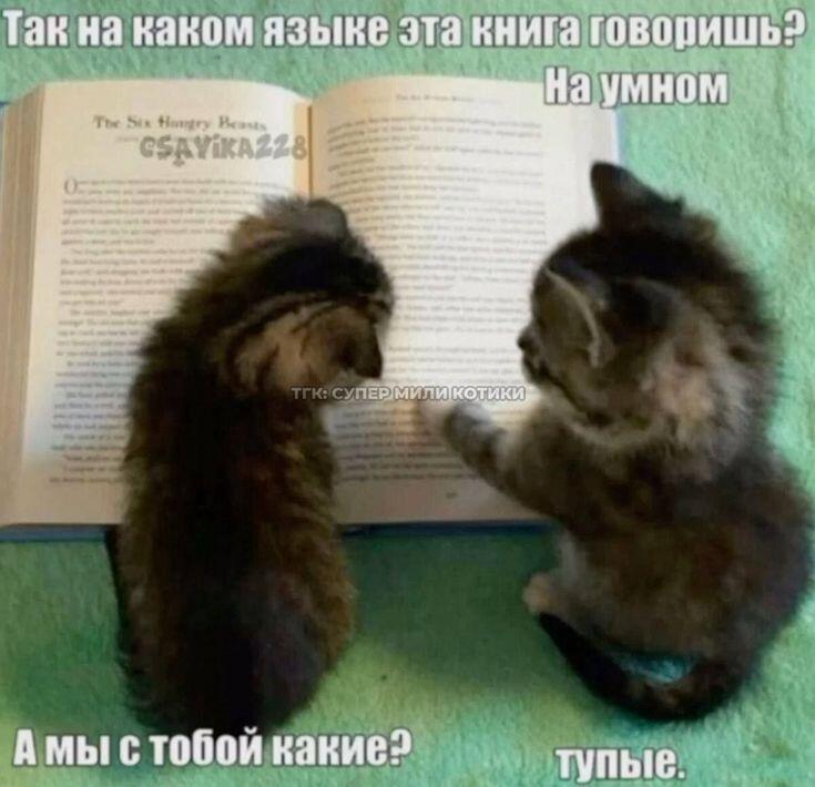 Я, когда, всегда: