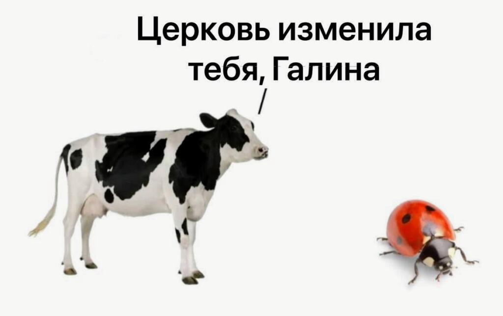Питьчайно