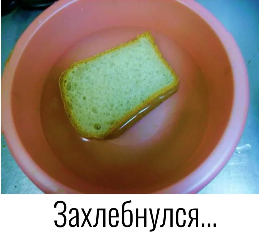 Мем от ШмелеКот [ПЛМ]