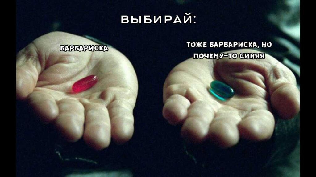 Мем от 🩶W1ndY[CHUP]🖤🍉
