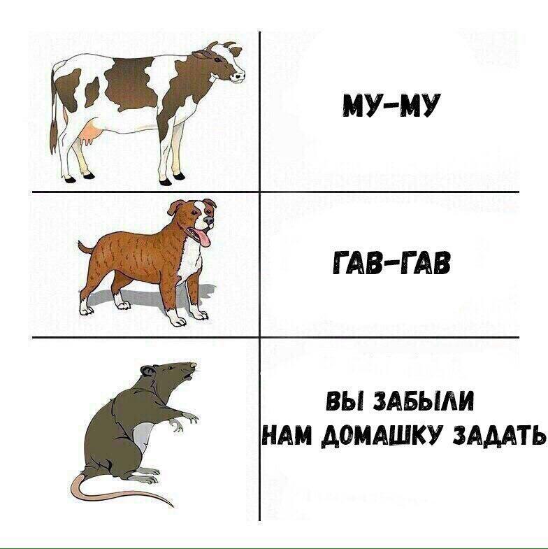 I always come back