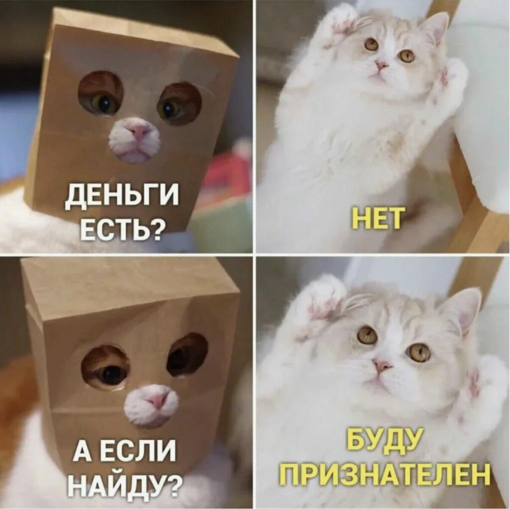 Мем от Сat_254