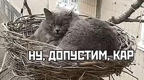 кар