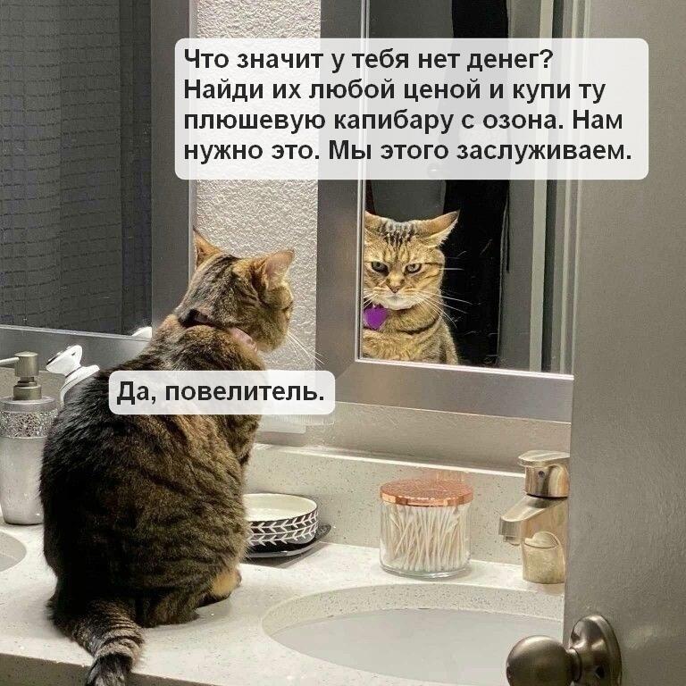 Мем от Фантоккио Великий