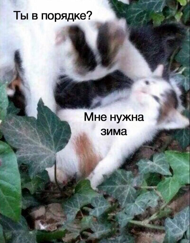 Хочу зиму как никто другой