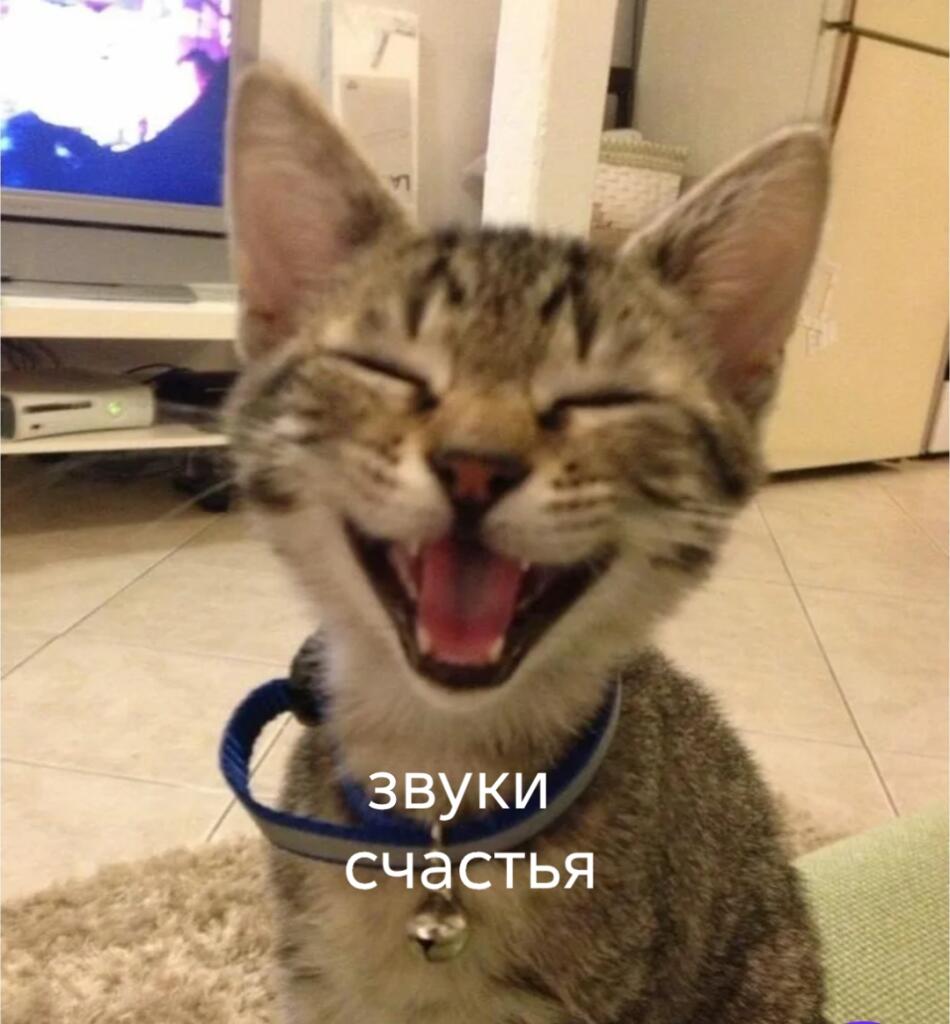 Подпищики других каналов в телеге : блииииин мой любимый блогер запостил всего лишь 172827827272 постов в секунду.
Подпи