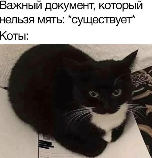 Мем от а