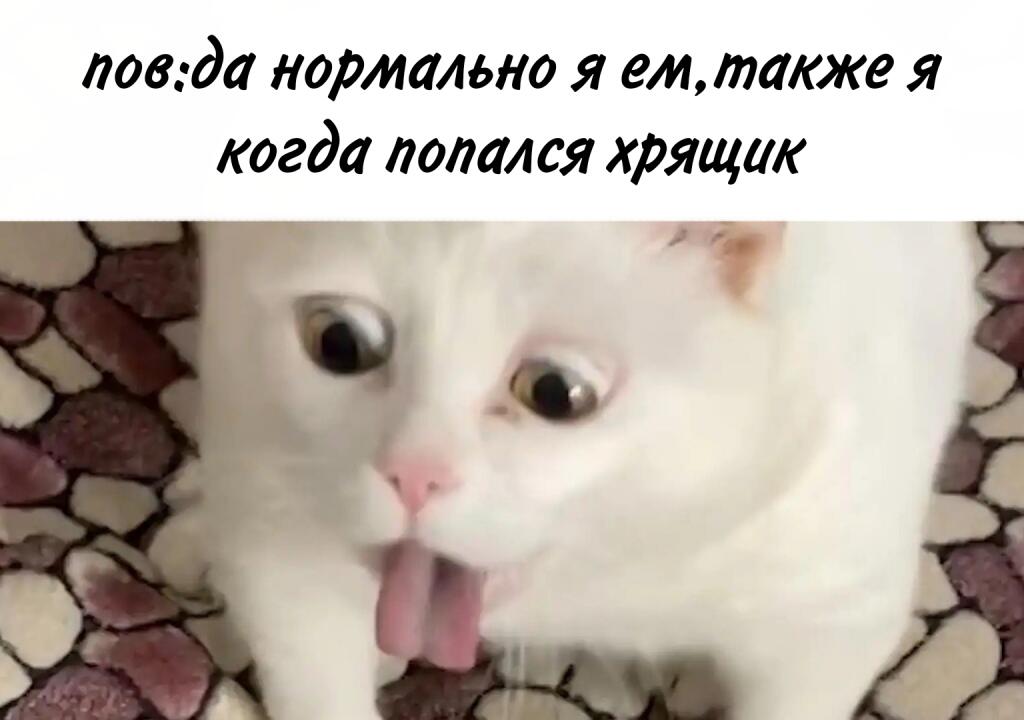 .