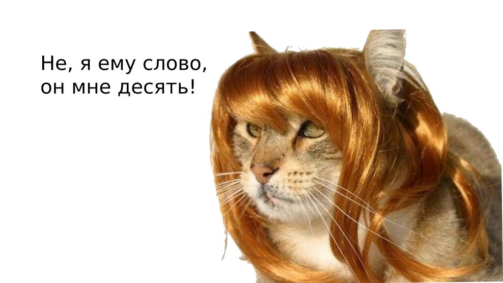 Я: привожу аргументы, и якобы выигрываю спор.
Мама: