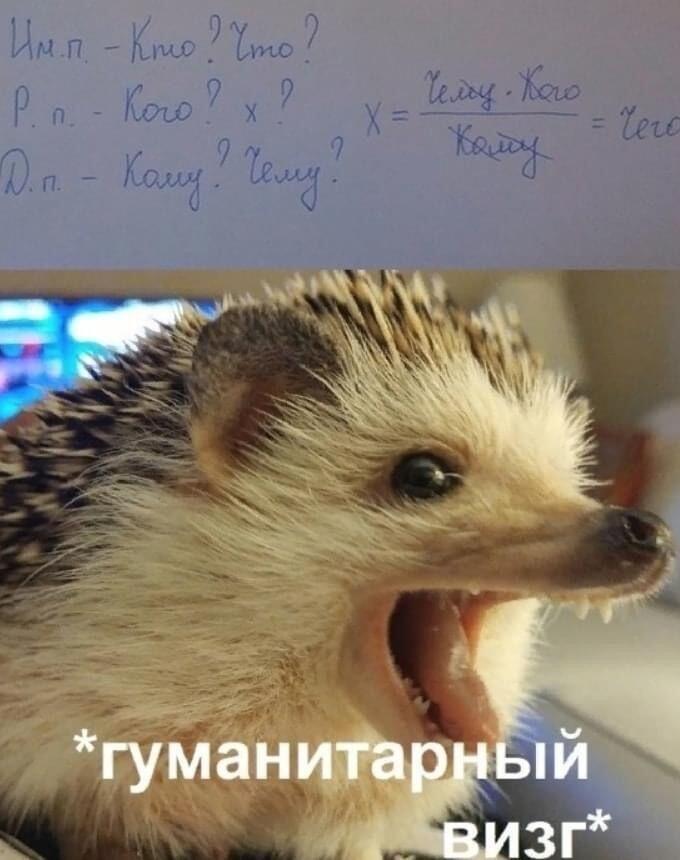 Когда ты ни гуманитарий, ни математик...