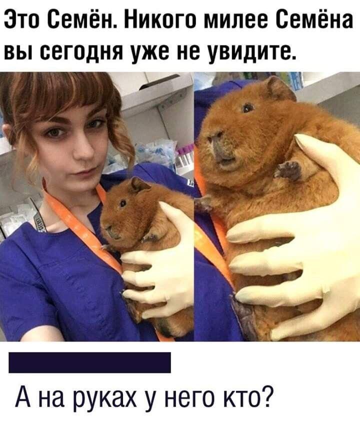 Семён и животное