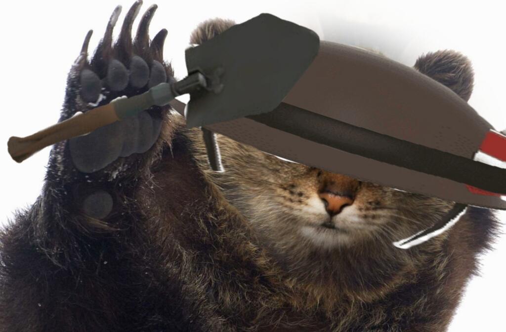Атака Tf2 котомедведр