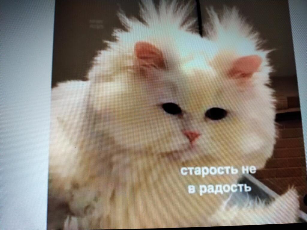 Мемы из видео алексея совы 2