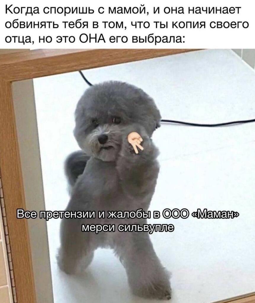 Мем без подписи