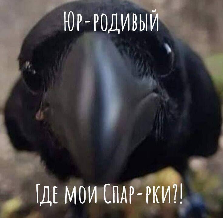 Когда с другом пошли в магз тот самый друг: