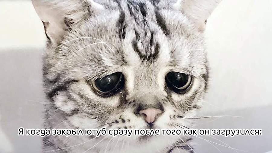 Жиза