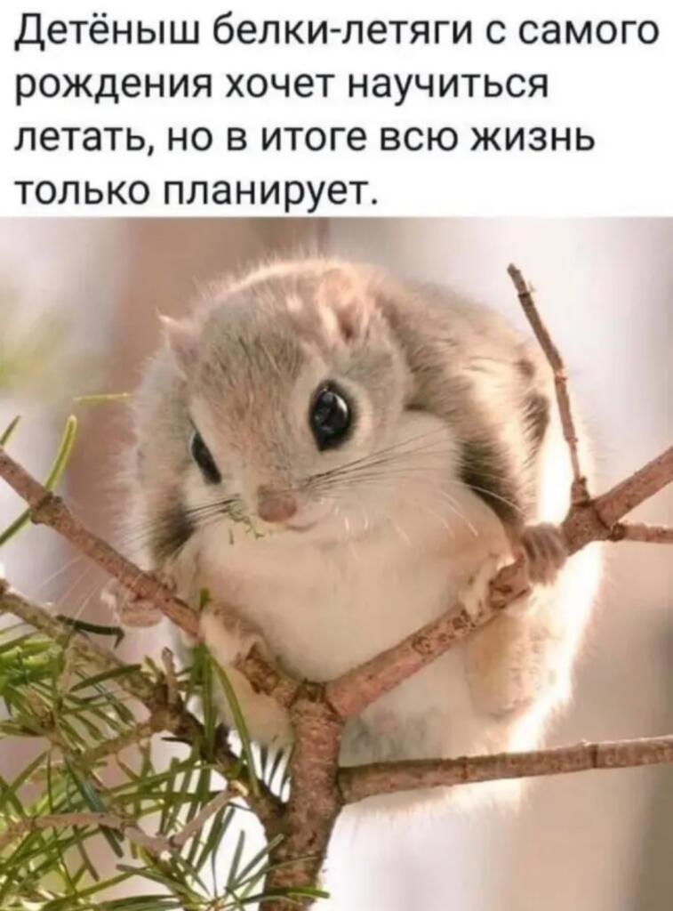 Добейте мне пж 20 подписчиков, один человек остался.