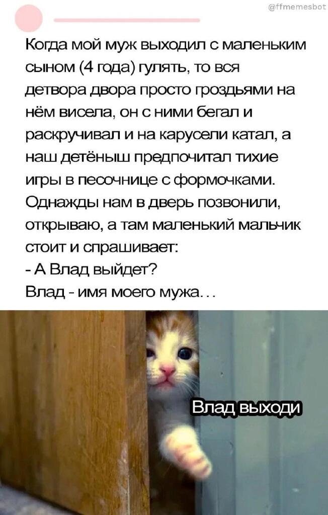 Мем от St_Egor