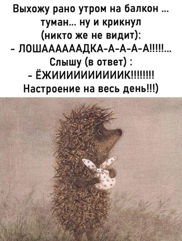 Обожаю Ёжика и Медвежонка❤️