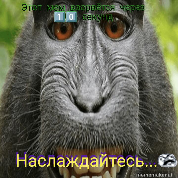 Мем от Mimimi7000