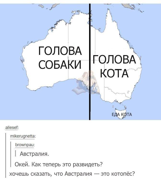 Интересные наблюдения за Австралией