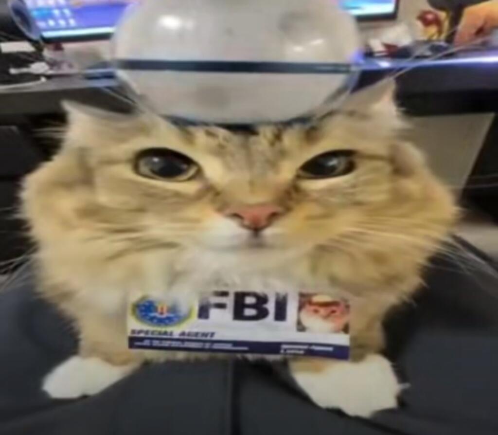 Котэ