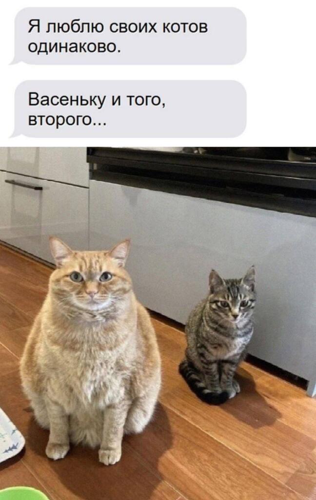Мем от misfortune official