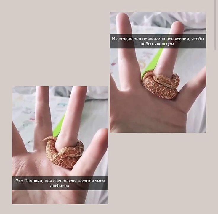 Какое кросивое колечко🥰