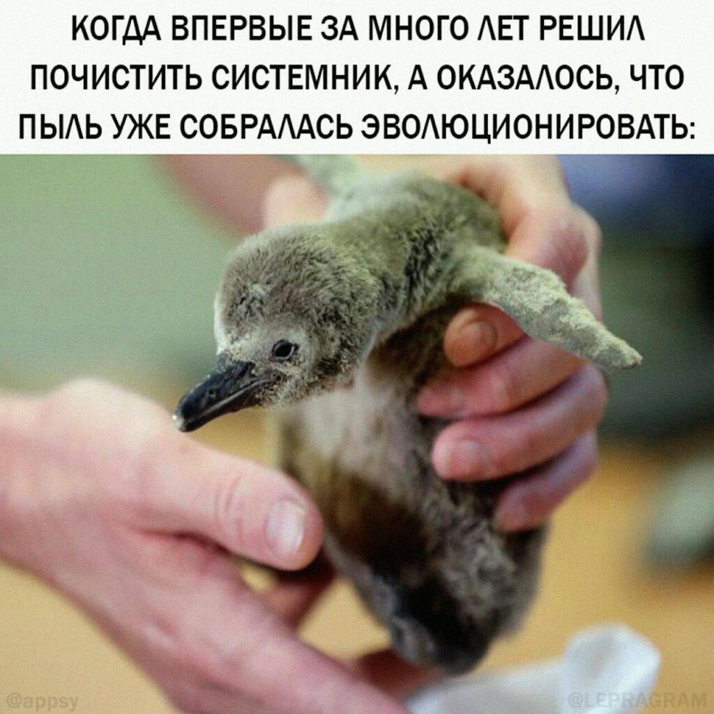 Мем от ГУП "НМТ"