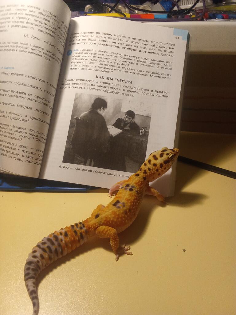 Так что тут написано