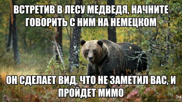 Мем от ГУП "НМТ"
