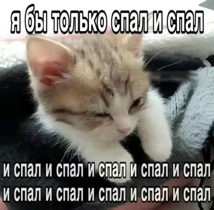 Я бы тоже