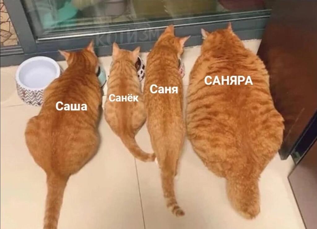 Мем от Хомякарыч