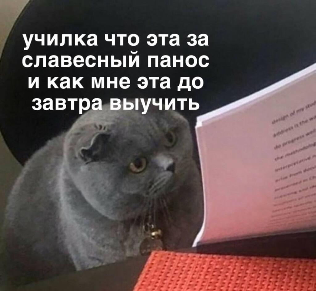 Мем от St_Egor