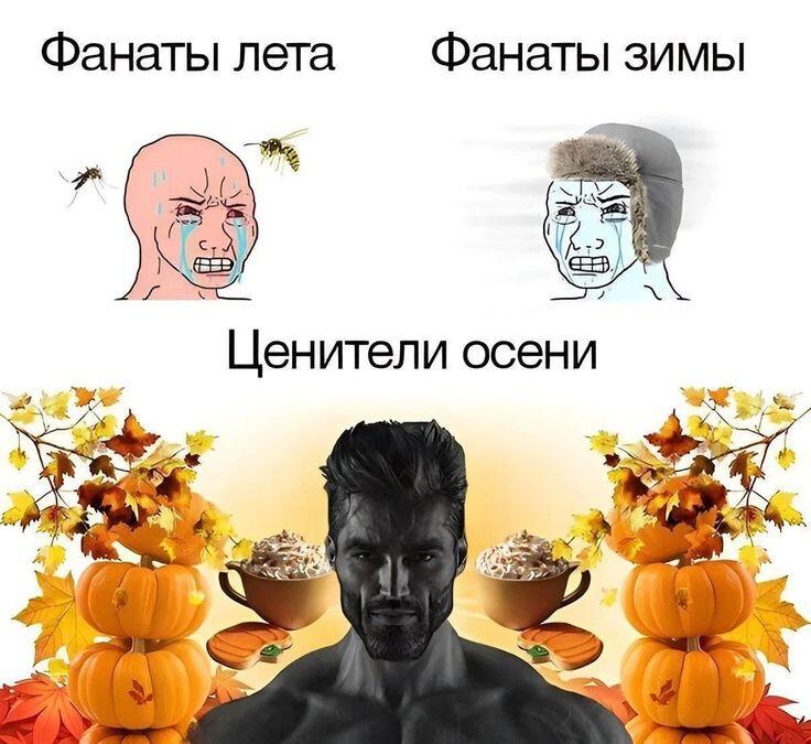 Сейчас самое вайбовое время для того чтобы сидеть дома, пить тёплый чай в тёплых вещах и делать свои делишки