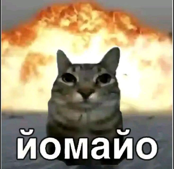 Мем от yellow Rechea