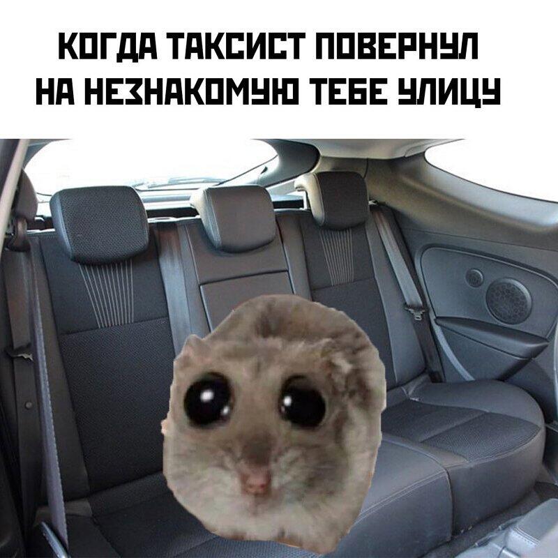 Мем от Vasa_v0dila_lubit_pivo