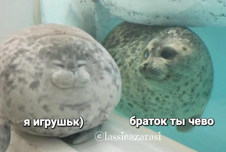 хехе