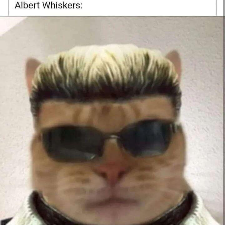 Альберт Вискас